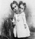 Too, two cute. Not.