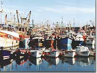 Newlyn fleet