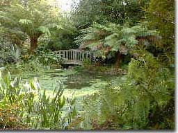 Trengwainton - photo courtesy of Great British Gardens Guide